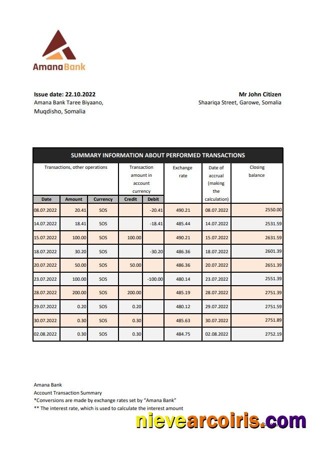 Somalia Amana bank statement xls